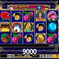 9000 Salvador - Bonus Stats